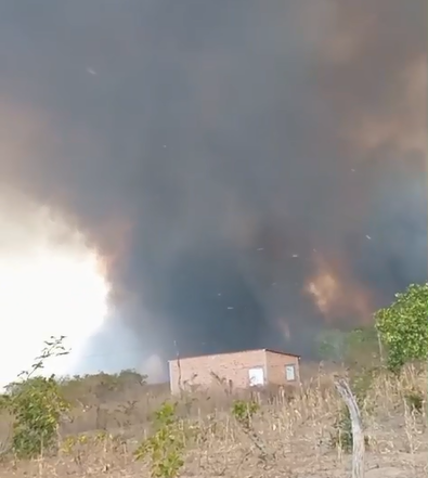 Quatro pessoas morrem em incêndio no interior do Piauí; veja vídeo